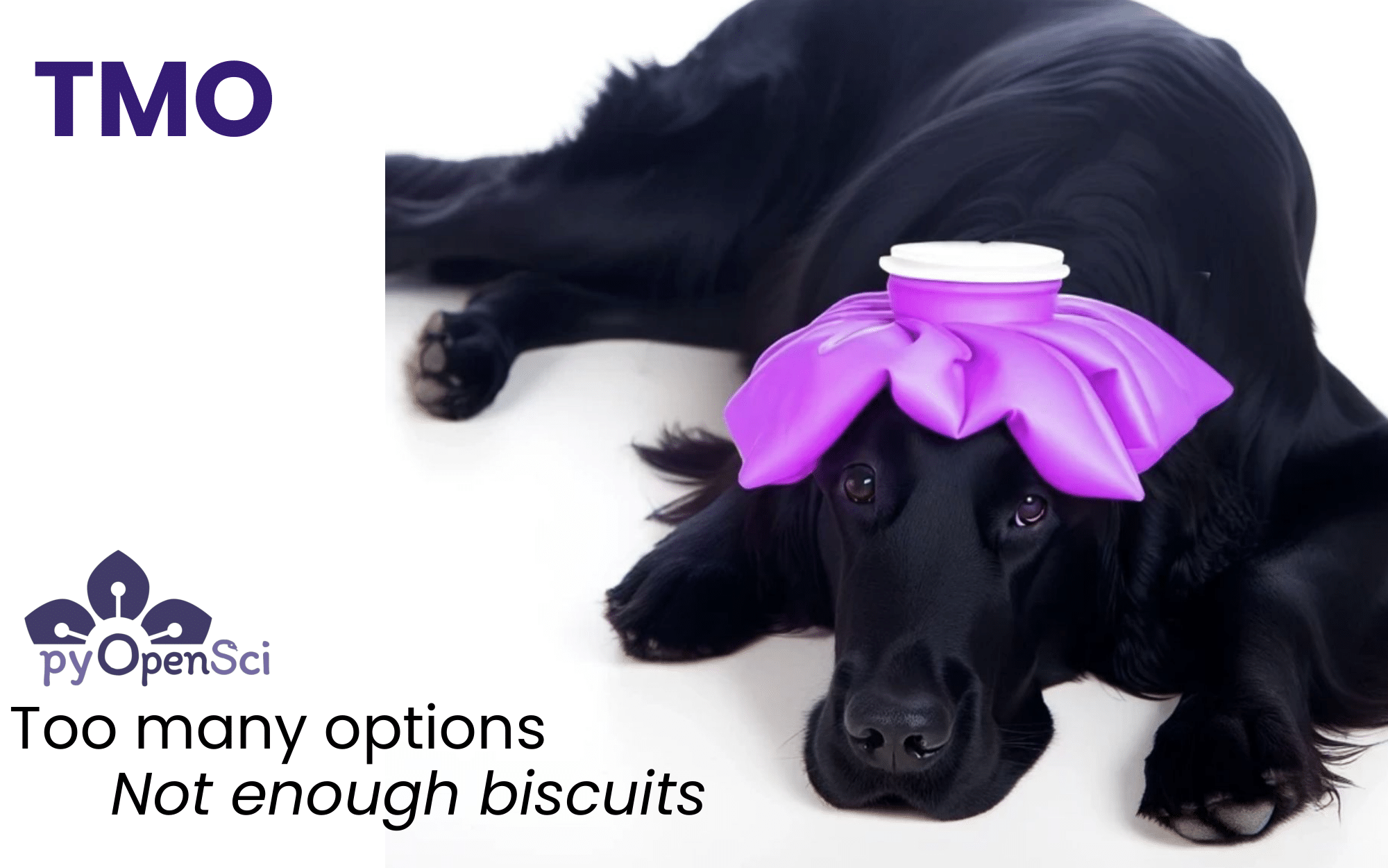 Image of a flat coated retriever lying down with a purple ice bag on its head looking sad.